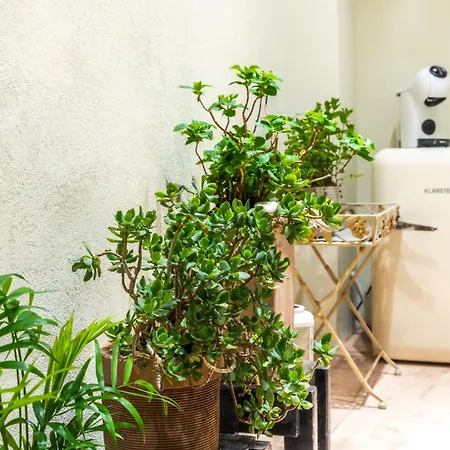 Hidden Luxury 2br With Terrace Апартаменти